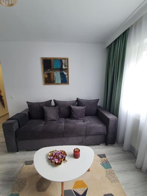 Apartament Ama 锡比乌 外观 照片