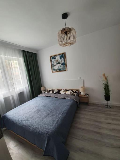 Apartament Ama 锡比乌 外观 照片