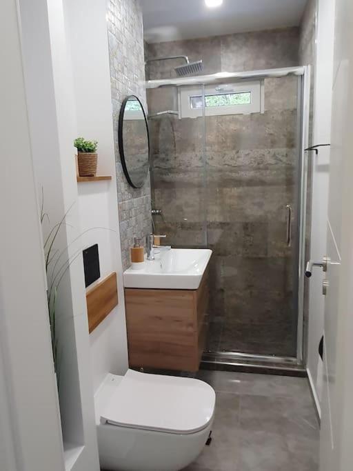 Apartament Ama 锡比乌 外观 照片