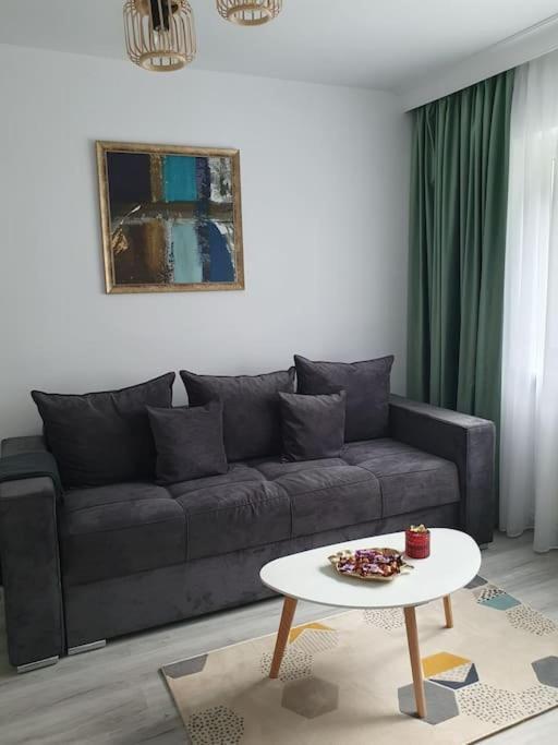 Apartament Ama 锡比乌 外观 照片