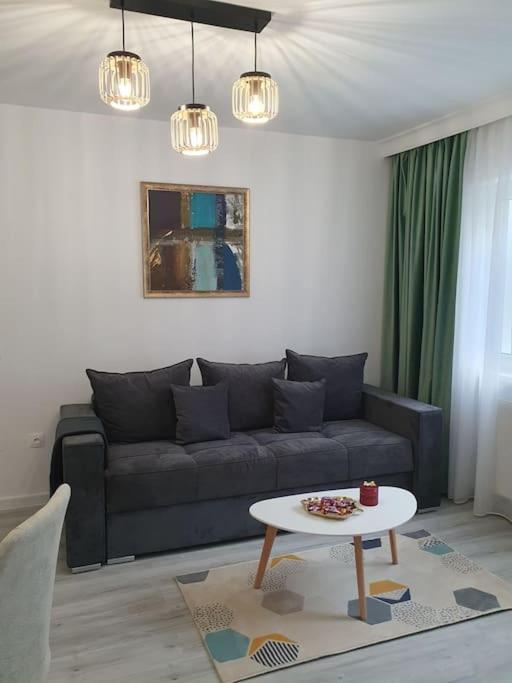 Apartament Ama 锡比乌 外观 照片