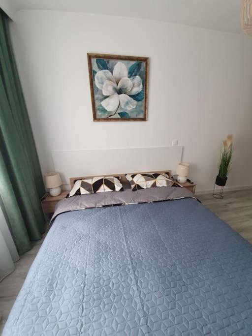 Apartament Ama 锡比乌 外观 照片