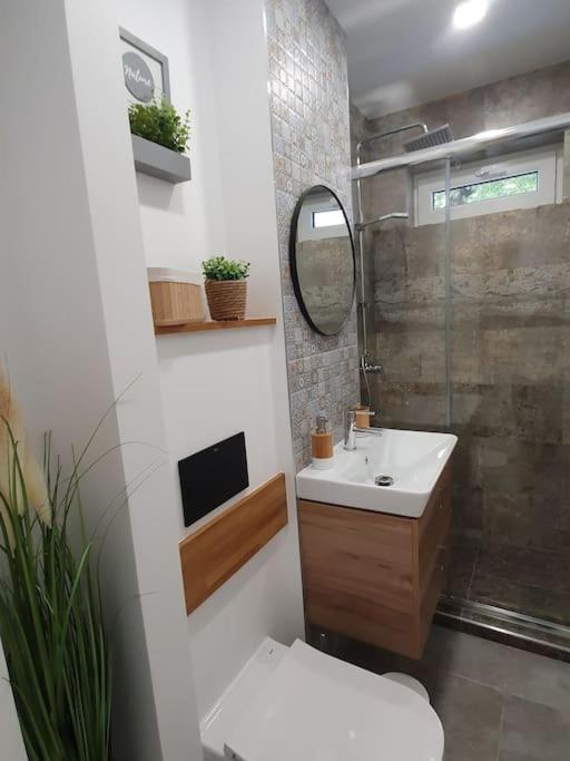 Apartament Ama 锡比乌 外观 照片